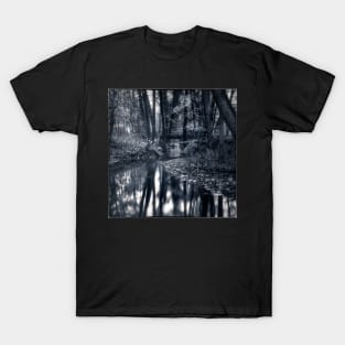 The Woodlands T-Shirt